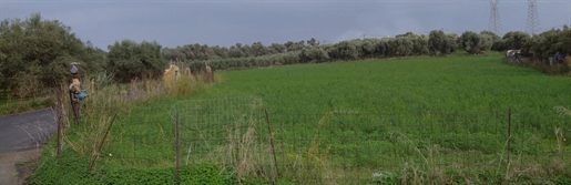 Plot of land in Adele,Rethymno