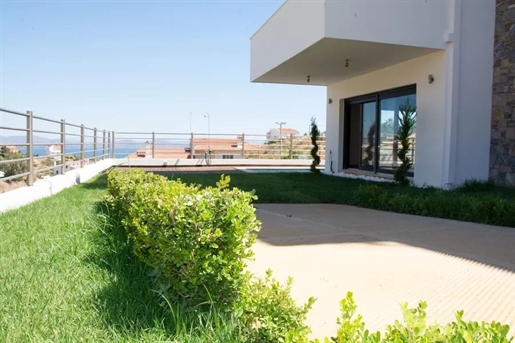 Luxury house for sale in Neos Voutzas, Nea Makri. Panoramic view
