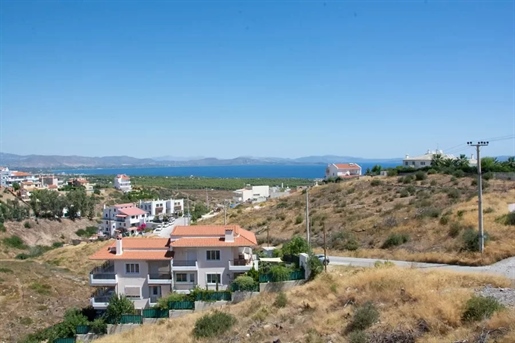 Luxury house for sale in Neos Voutzas, Nea Makri. Panoramic view