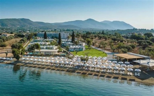 Beautiful four-star beachfront hotel is located in the best location of Greece, Guests can choose to