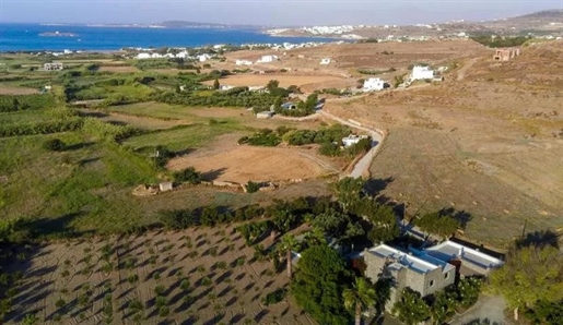 Paros, Naoussa: For sale a stone-built luxury villa in the meadow of Naoussa built in 2001 with a to