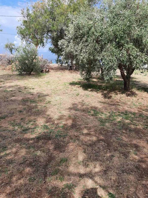 Plot of land in Halkidiki in front of the beach 3,000 sq.m.