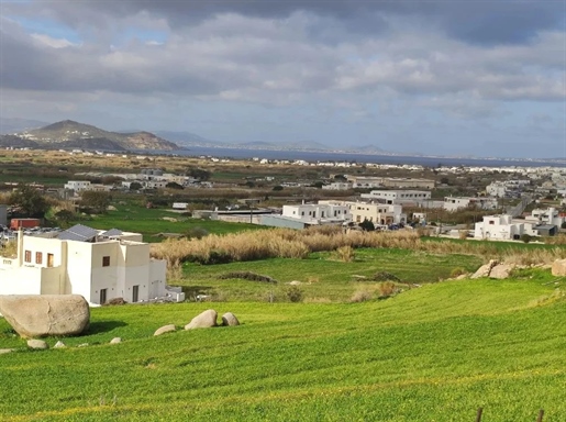 Terrain, 10000m², à vendre, Naxos - Chora