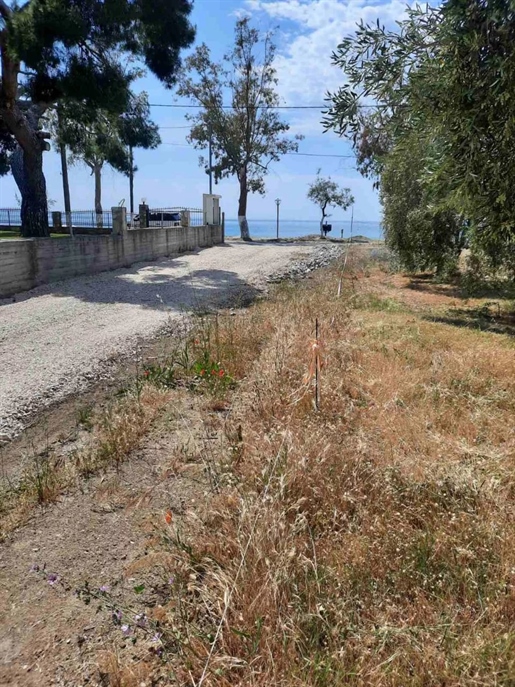 Plot of land in Halkidiki In front of the sea 1073 sq.m .