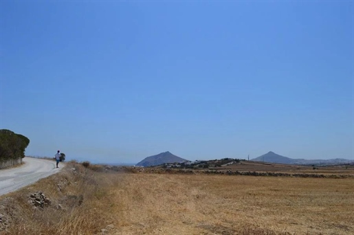 Isterni, Paros : Terrain de 10 390 m², possibilité de construction de 4 000 m², avec une autorisatio