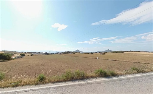 Terrain à Paros 5795 m².