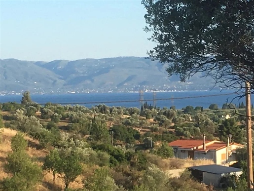 Plot of land 12392m², for sale, Amarinthos (Evia)