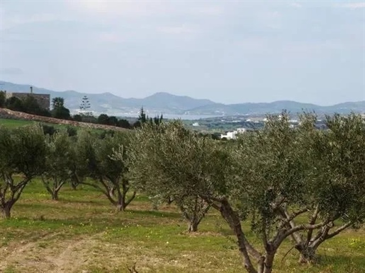 Terrain à Paros, région d'Agkairia 5420 m².