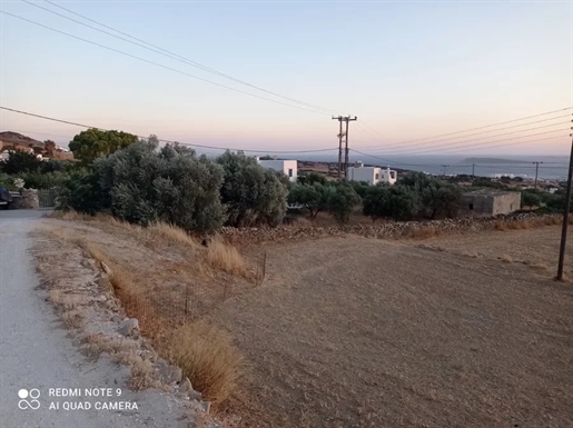 Land Plot 3500 m2, Agkaria, Paros, € 600,000