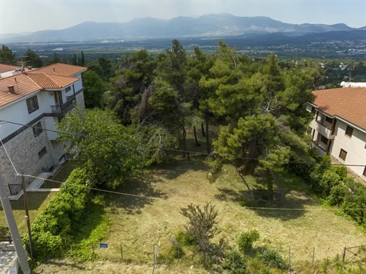Plot of Land for Sale in Ekali, Athens.