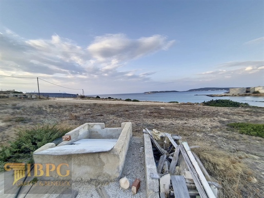 Terrain de 16 000 m² dans la région de Paros / Naoussa.