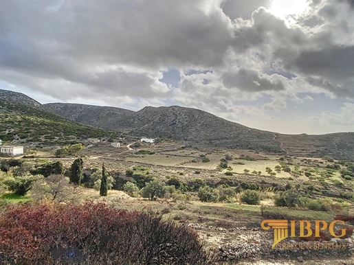 Découvrez le paradis à Aneratza, sur l'île de Paros
