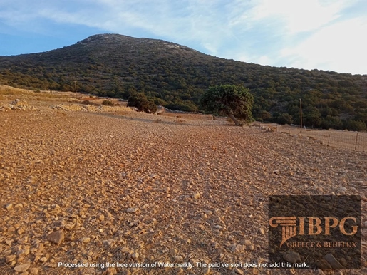 Coveted Land in Agkeria, Paros: 10,200 sqm with 280 sqm Building Allowance and Stunning Sea Views
