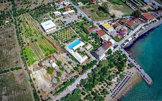 Πωλείται οικόπεδο 11.500 τ.μ στη Γιάλοβα / Πελοπόννησος. Οικοδομήσιμο: 2.100 τ.μ.