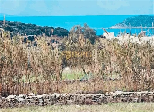 Advert picture