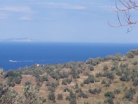 Investment opportunity, unique plot of land in Galatas near Porou