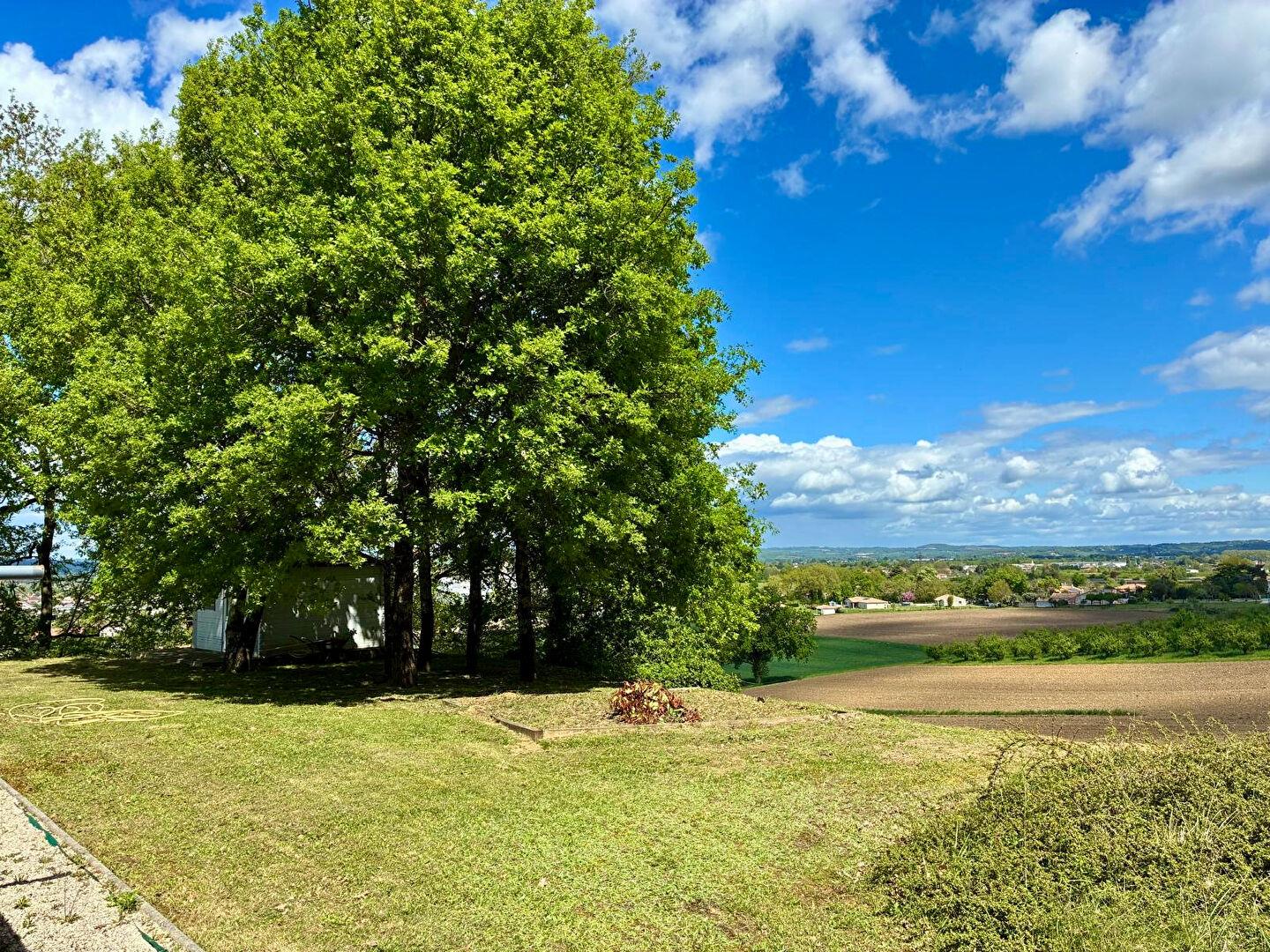 Compra: Casa (47110)