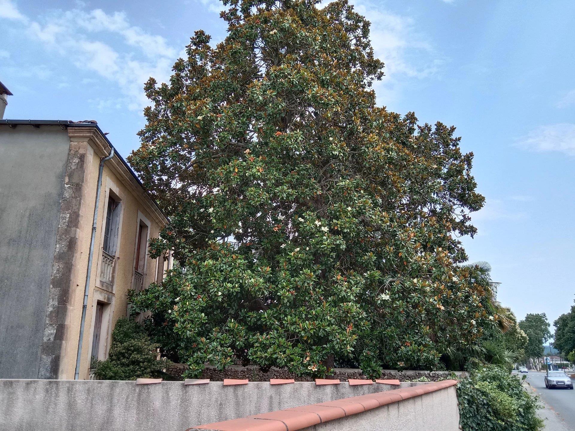 Boulogne sur Gesse, town house to renovate with small garden