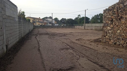Tierra en el Porto, Póvoa de Varzim