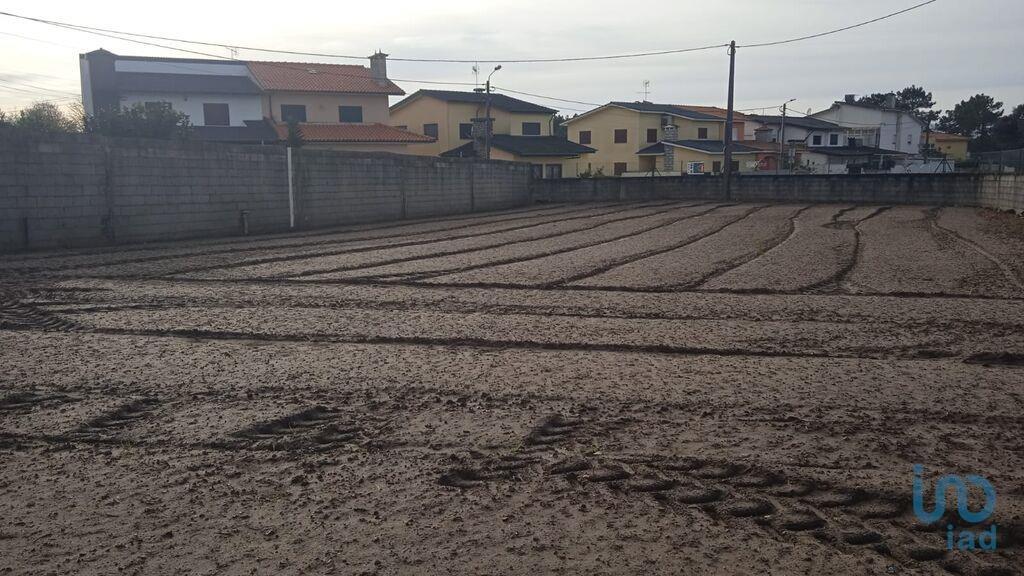 Tierra en el Porto, Póvoa de Varzim