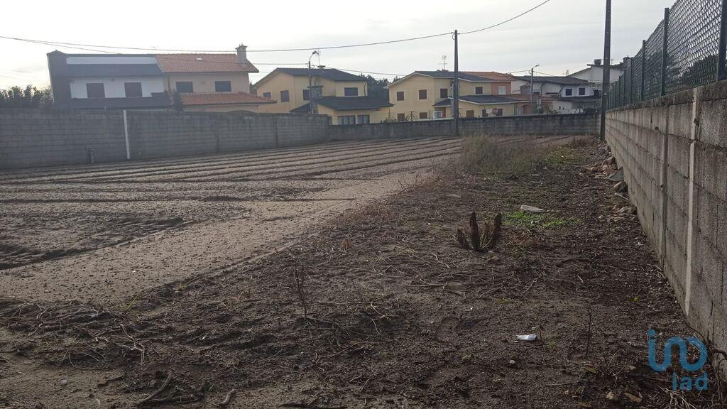 Tierra en el Porto, Póvoa de Varzim