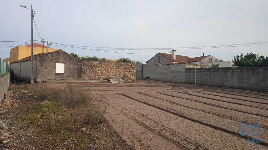 Tierra en el Porto, Póvoa de Varzim