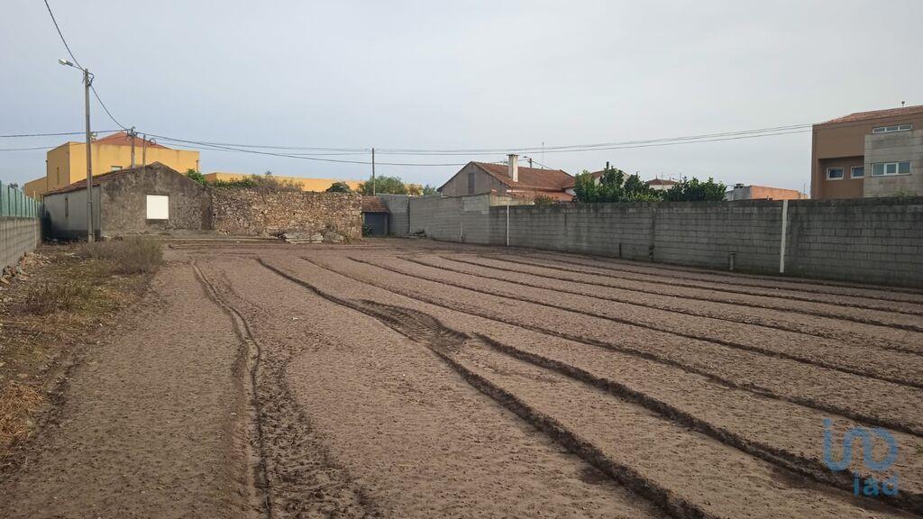 Tierra en el Porto, Póvoa de Varzim