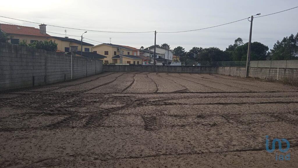 Tierra en el Porto, Póvoa de Varzim