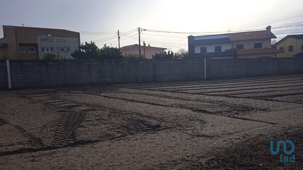 Tierra en el Porto, Póvoa de Varzim