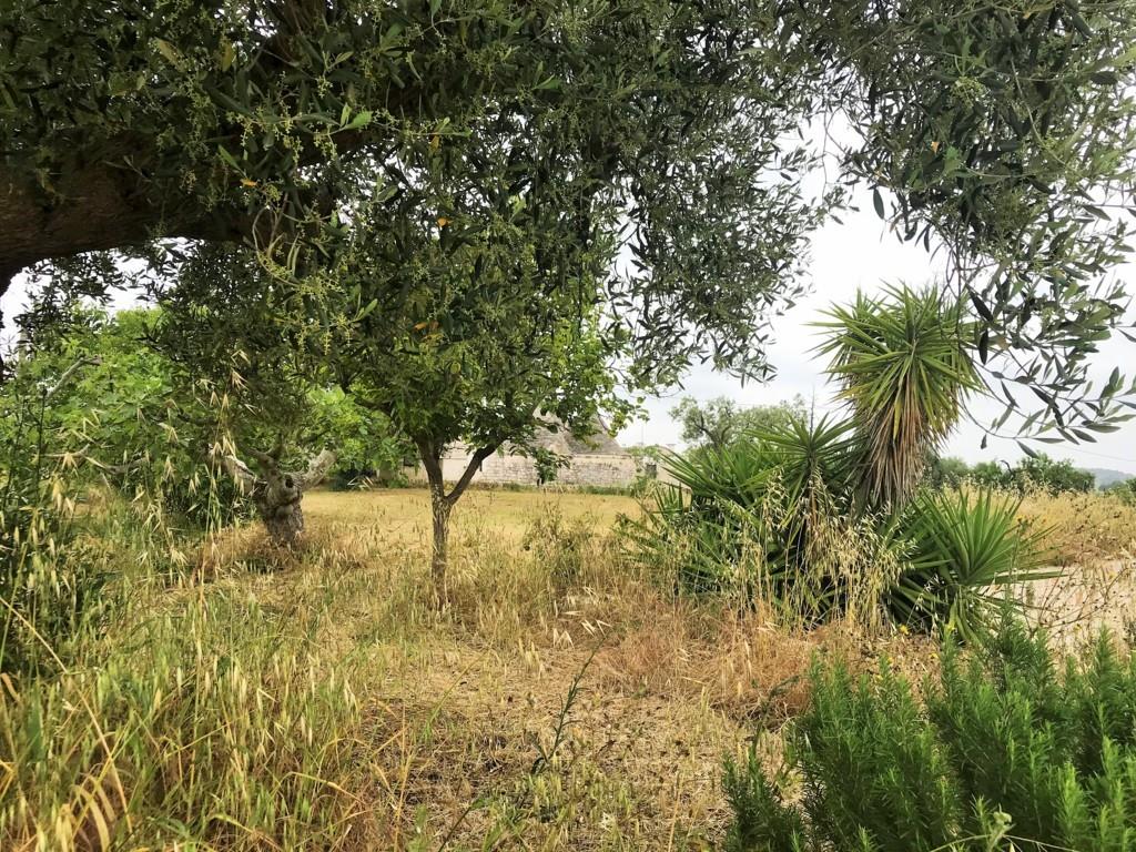 Encantadora casa de campo en venta en Ostuni 