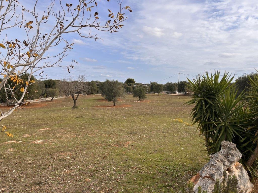 Apartment for sale in Santa Sabina