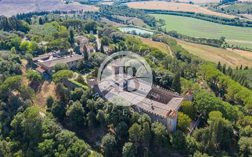 Esclusiva proprietà con Castello del 1400, borgo storico, azienda agricola e agriturismo