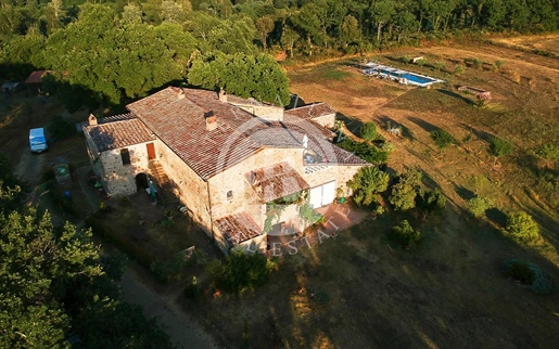 Casale Tipico Toscano Con Ampio Terreno E Piscina