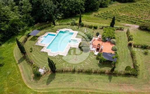 Villa con Vigneti e Uliveti in Lucchesia, Toscana