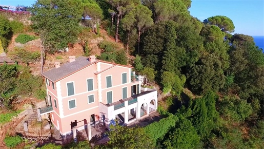 Villa Fronte Mare A Portofino