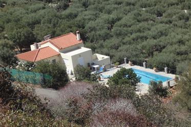 Vila s vlastním bazénem na prodej na Krétě