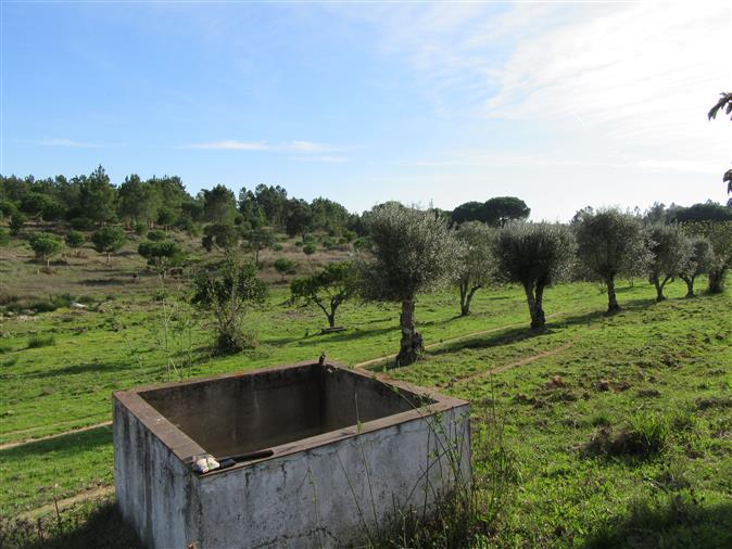 Courela 12, 2Ha with oak, pine, spring water, charca, lot electricity