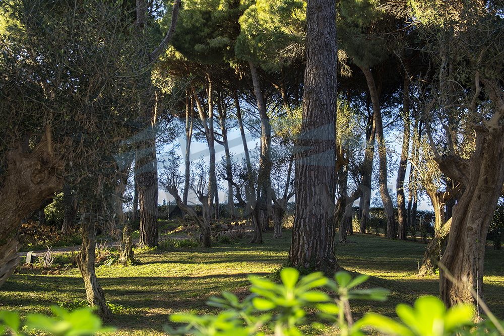 Additional image 11 of Sacrofano (Provincia di Roma)