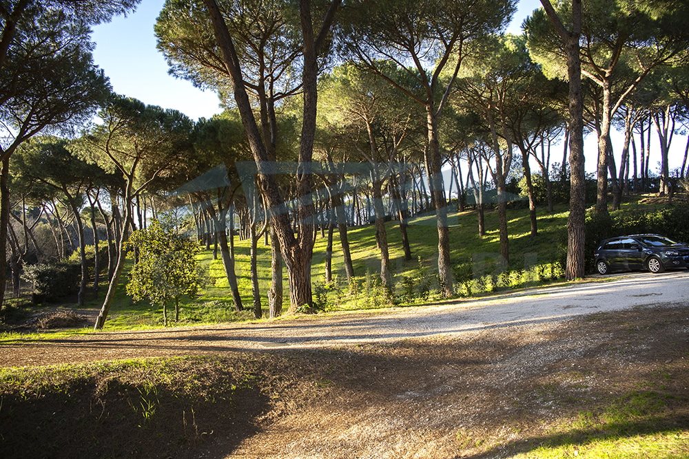 Additional image 12 of Sacrofano (Provincia di Roma)