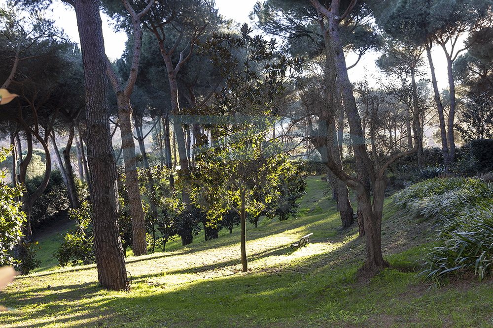 Additional image 9 of Sacrofano (Provincia di Roma)