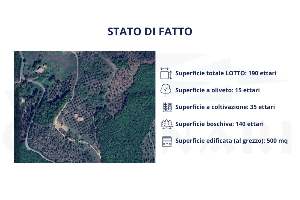 Additional image 3 of Orvieto (Provincia di Terni)