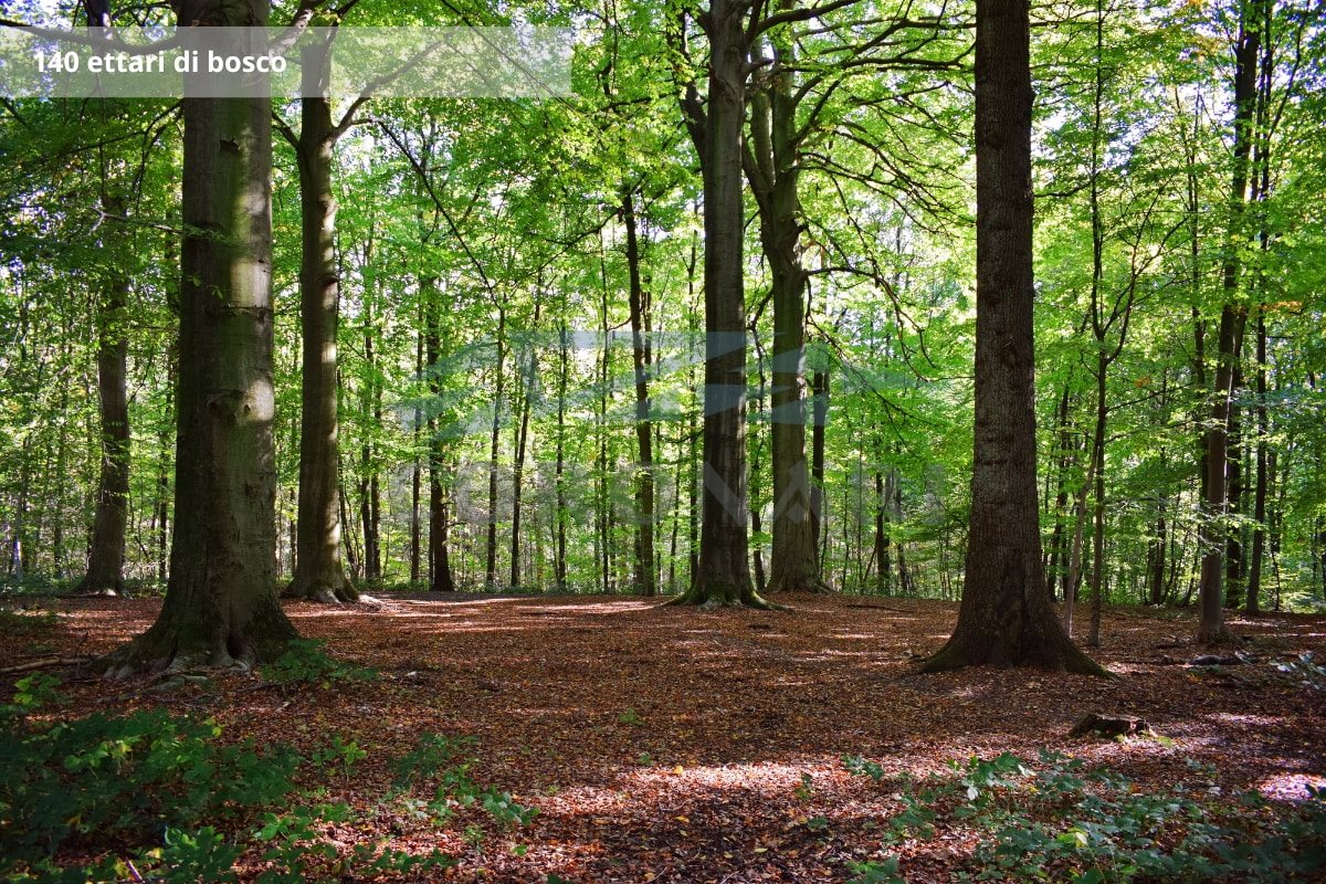 Additional image 7 of Orvieto (Provincia di Terni)