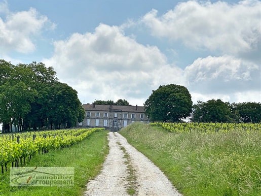 Antiguo castillo del vino y sus viñedos - Sainte Foy La Grande 33220