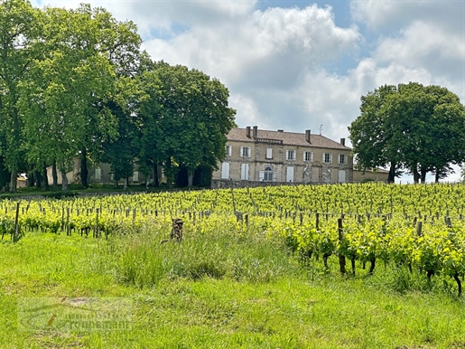 Former Wine Chateau and its Vineyards - Sainte Foy La Grande 33220