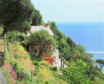 Villa Portofino sea view