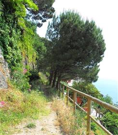 Blick auf die Villa Portofino