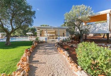 Sold "Villa Petrose" With Terreno - Sava 