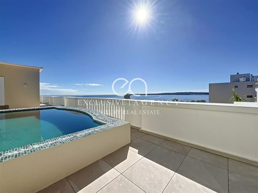 Cannes sale triplex 6 rooms 511m² villa-roof solarium and swimming pool