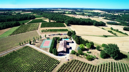 Domaine Viticole con una hermosa residencia con 26 hectáreas de terreno, piscina y cancha de tenis.