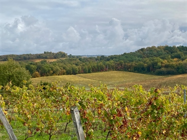 Atrakcyjna posiadłość winiarska zaledwie 35 minut od centrum Bordeaux. Położony na wysokim terenie 
